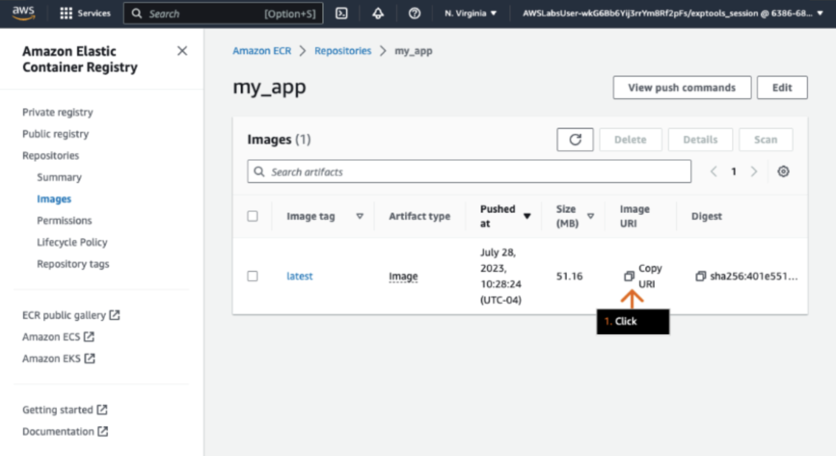 AWS ECR dashboard